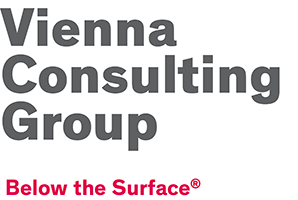 VCG – Vienna Consulting Group